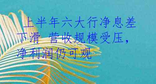  上半年六大行净息差下滑 营收规模受压，净利润仍可观