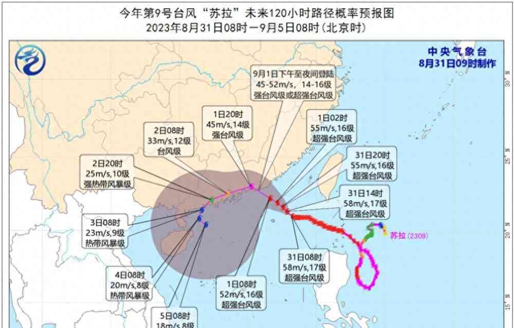 最新曝光事件，专家解读如何防御“苏拉”