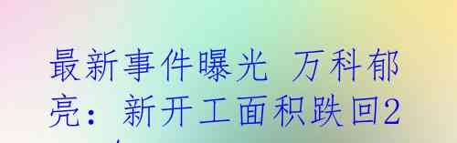 最新事件曝光 万科郁亮：新开工面积跌回2006年
