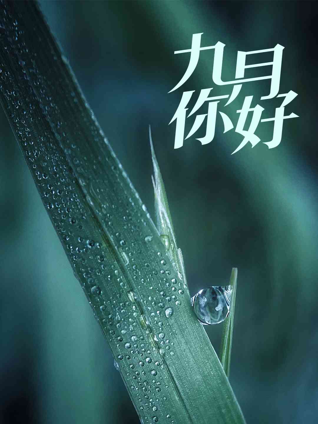 揭秘最近发生的事件:九月第一天