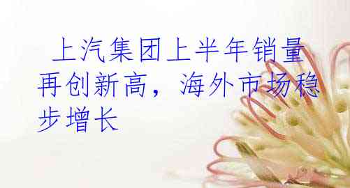  上汽集团上半年销量再创新高，海外市场稳步增长