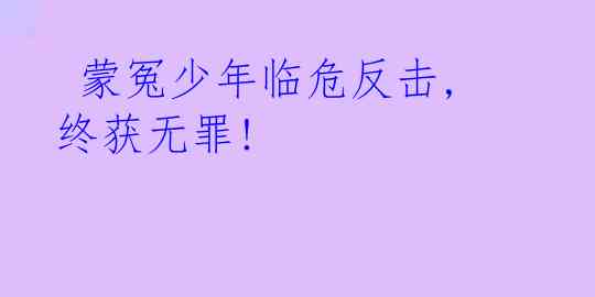  蒙冤少年临危反击,终获无罪!
