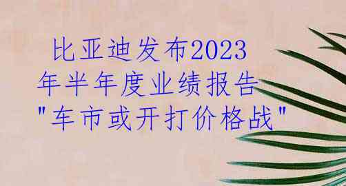  比亚迪发布2023年半年度业绩报告 "车市或开打价格战"