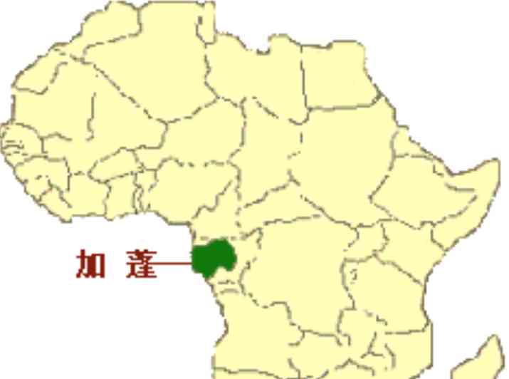  加蓬政变引发非洲和国际各方关注，联合国和非盟对军事政变表示强烈反对
