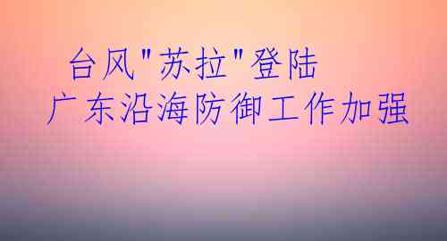  台风"苏拉"登陆 广东沿海防御工作加强