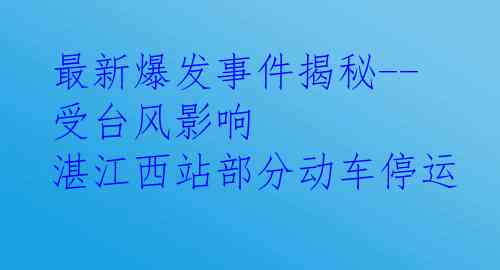 最新爆发事件揭秘--受台风影响 湛江西站部分动车停运