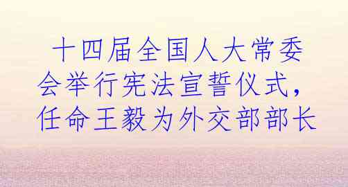  十四届全国人大常委会举行宪法宣誓仪式，任命王毅为外交部部长