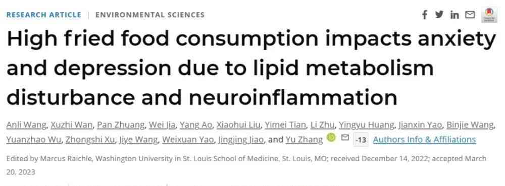  浙大研究：长期食用油炸食品与焦虑抑郁有关