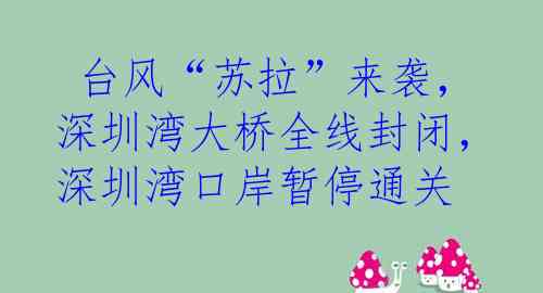  台风“苏拉”来袭，深圳湾大桥全线封闭，深圳湾口岸暂停通关