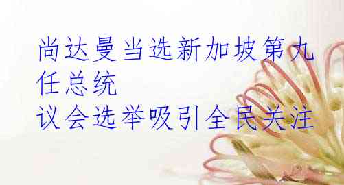 尚达曼当选新加坡第九任总统 议会选举吸引全民关注