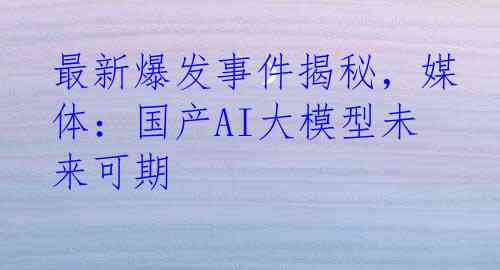 最新爆发事件揭秘，媒体：国产AI大模型未来可期