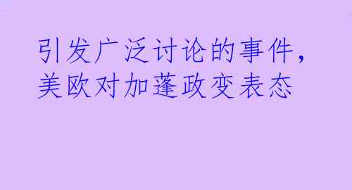 引发广泛讨论的事件，美欧对加蓬政变表态