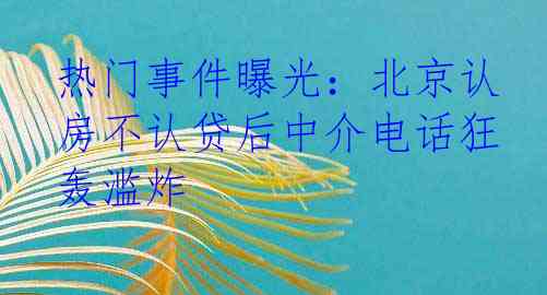热门事件曝光：北京认房不认贷后中介电话狂轰滥炸