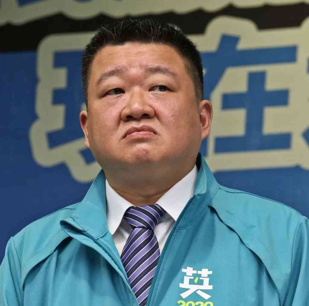  抄袭门再起！台民进党新北市党部主委被爆论文复制近60%