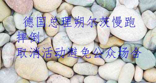  德国总理朔尔茨慢跑摔倒 取消活动避免公众场合