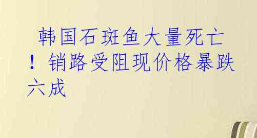  韩国石斑鱼大量死亡！销路受阻现价格暴跌六成