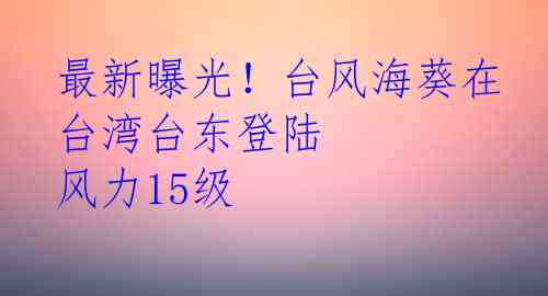 最新曝光！台风海葵在台湾台东登陆 风力15级