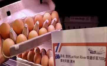  台湾进口鸡蛋价格离谱，补贴比到岸价还高