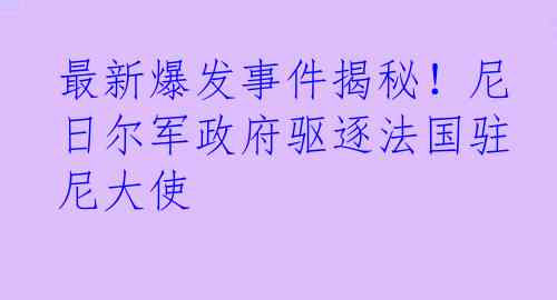 最新爆发事件揭秘！尼日尔军政府驱逐法国驻尼大使