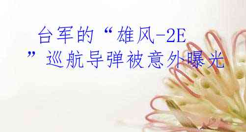  台军的“雄风-2E”巡航导弹被意外曝光