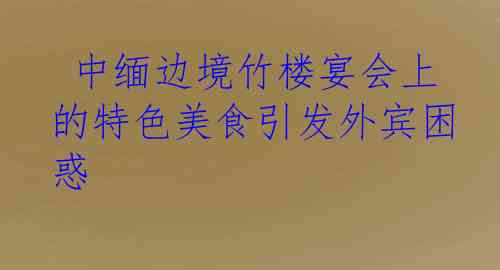  中缅边境竹楼宴会上的特色美食引发外宾困惑