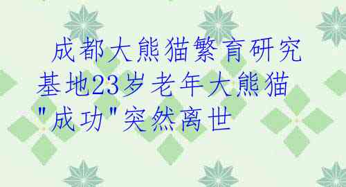  成都大熊猫繁育研究基地23岁老年大熊猫"成功"突然离世