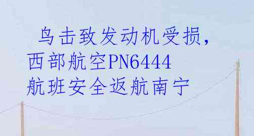  鸟击致发动机受损，西部航空PN6444航班安全返航南宁
