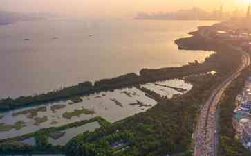  香港人爱上深圳，深圳旅游魅力渐露峥嵘