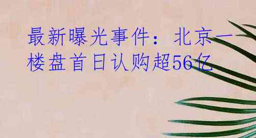 最新曝光事件：北京一楼盘首日认购超56亿