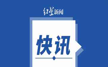 最新曝光 南宁至重庆一航班遭鸟击返航