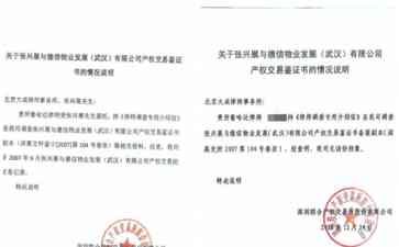  百亿股权转让被低价买走 大富翁张兴展将获胜诉机会