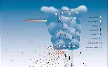  多地暴雨后哮喘患者激增 花粉浓度或成诱因