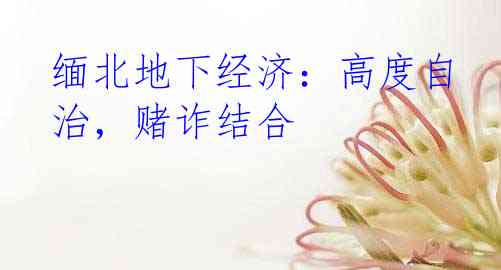 缅北地下经济：高度自治，赌诈结合