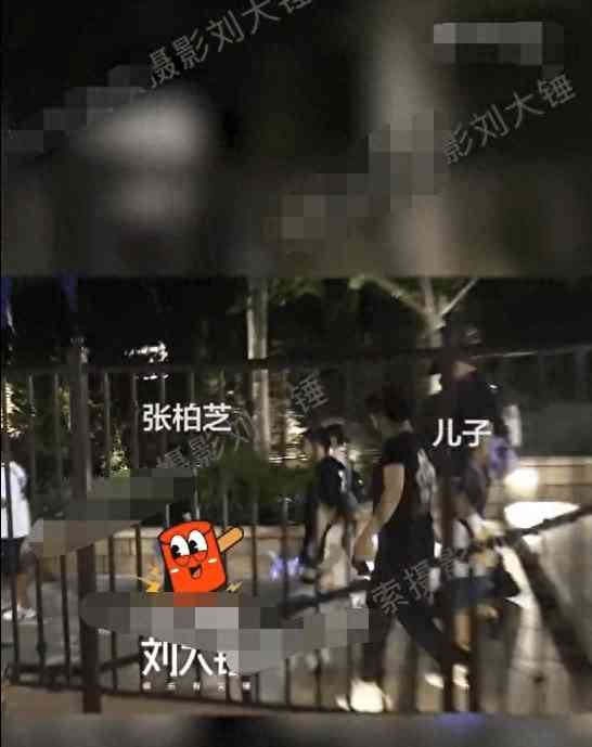 热门事件曝光 张柏芝带三胎儿子外出玩耍