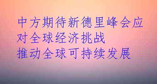 中方期待新德里峰会应对全球经济挑战 推动全球可持续发展