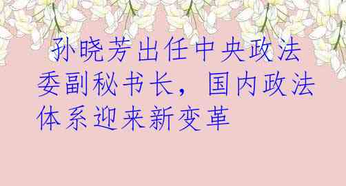  孙晓芳出任中央政法委副秘书长，国内政法体系迎来新变革
