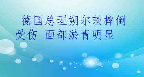  德国总理朔尔茨摔倒受伤 面部淤青明显