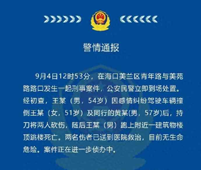 引发广泛关注，男子驾车撞倒砍伤2人后跳楼身亡