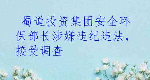  蜀道投资集团安全环保部长涉嫌违纪违法，接受调查