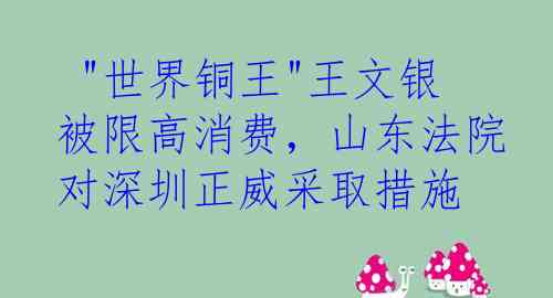  "世界铜王"王文银被限高消费，山东法院对深圳正威采取措施