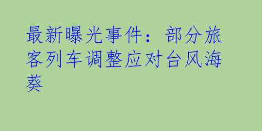 最新曝光事件：部分旅客列车调整应对台风海葵