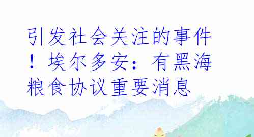 引发社会关注的事件！埃尔多安：有黑海粮食协议重要消息
