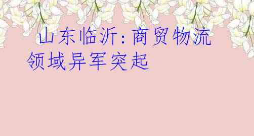  山东临沂:商贸物流领域异军突起