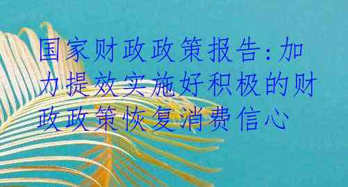 国家财政政策报告:加力提效实施好积极的财政政策恢复消费信心