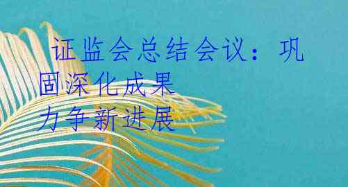  证监会总结会议：巩固深化成果 力争新进展