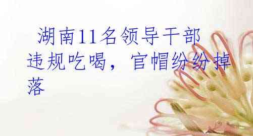  湖南11名领导干部违规吃喝，官帽纷纷掉落