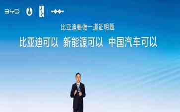  比亚迪：中国汽车巨头的崛起