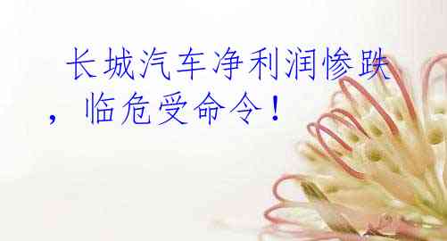  长城汽车净利润惨跌，临危受命令！