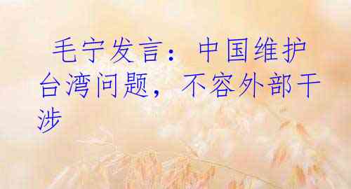  毛宁发言：中国维护台湾问题，不容外部干涉