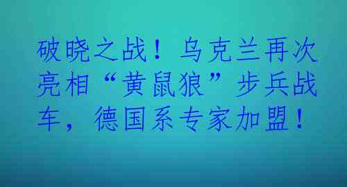 破晓之战！乌克兰再次亮相“黄鼠狼”步兵战车，德国系专家加盟！